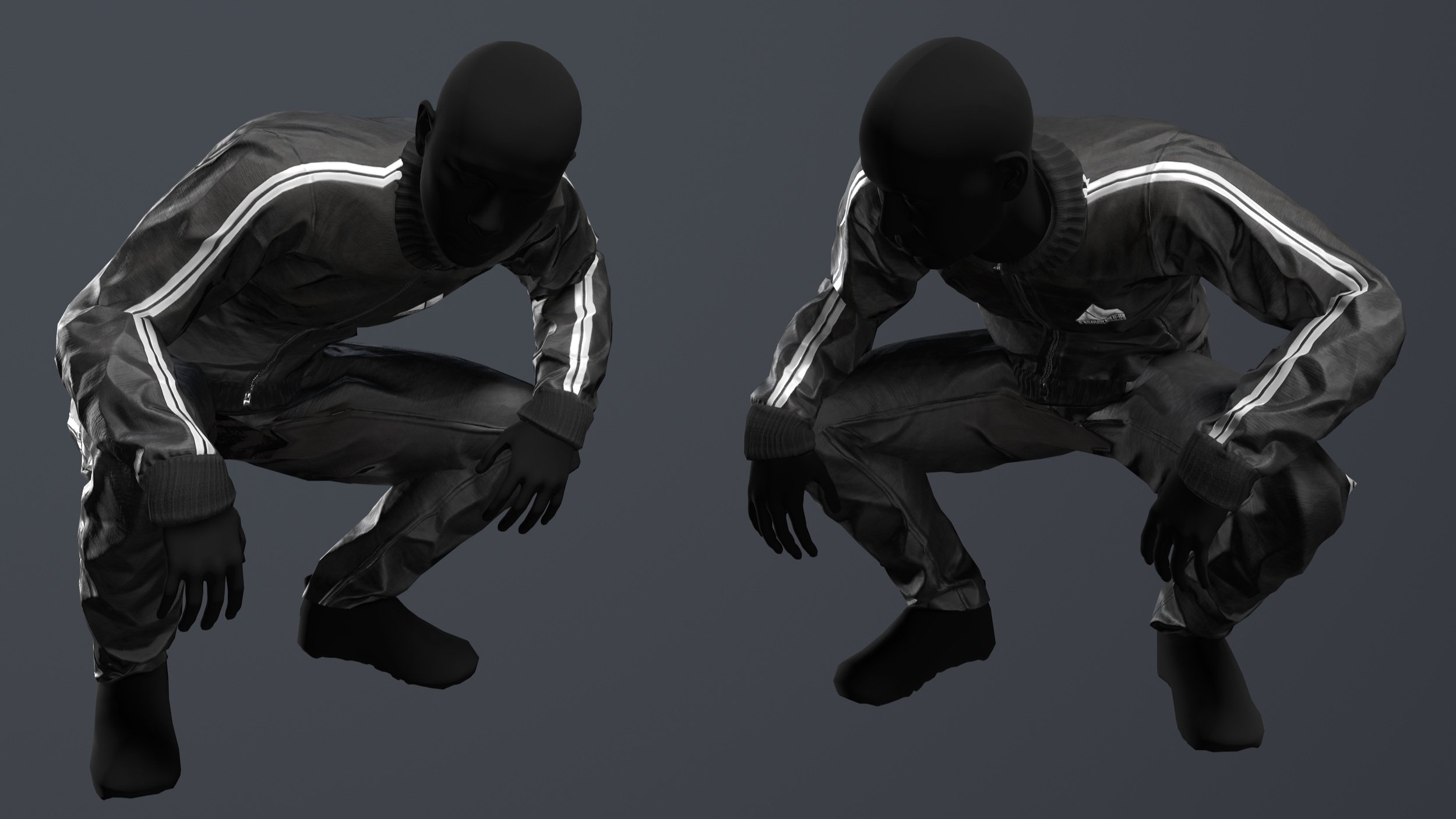 Cover Image for Signs and Squats